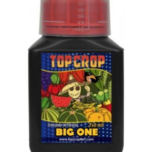 Big One 250 ml - Top Crop