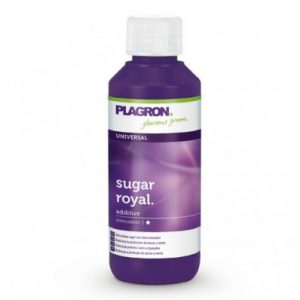 SUGAR ROYAL 100 ML - PLAGRON
