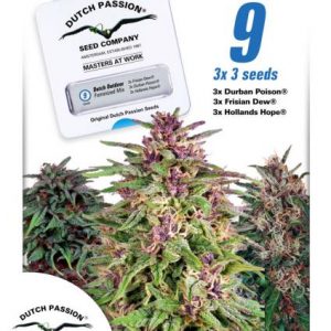 Dutch Outdoor Mix x9 - Dutch Passion