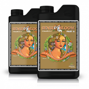PH PERFECT SENSI COCO BLOOM A + B 500ML