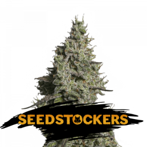 Moby Dick Auto x5 - Seed Stockers