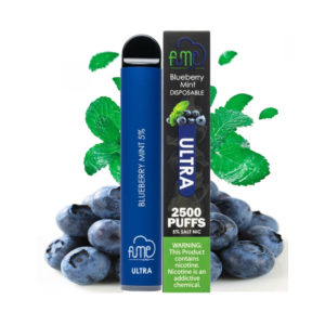 Vaporizador Arandano Desechable - Fume