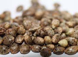 Jack 47 FEM x10 - Granel